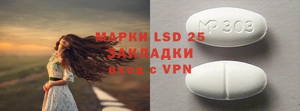индика Армянск