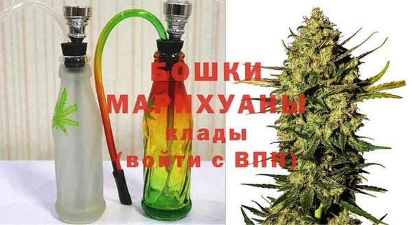 индика Армянск