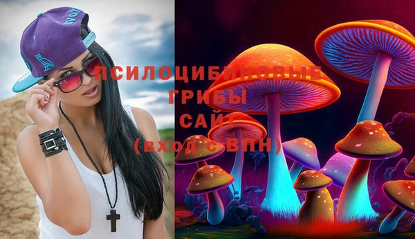 а пвп мука Аркадак