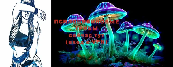 мдпв Арсеньев
